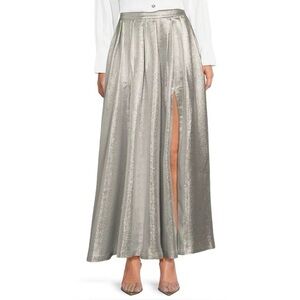 MUSE By MARCHESA NWT Eden Silver Metallic Full Maxi Skirt 6